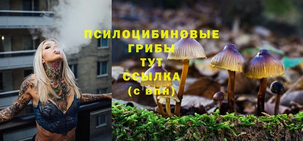 прущие крисы Алзамай
