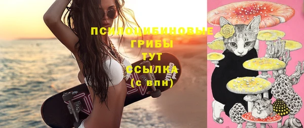 прущие крисы Алзамай