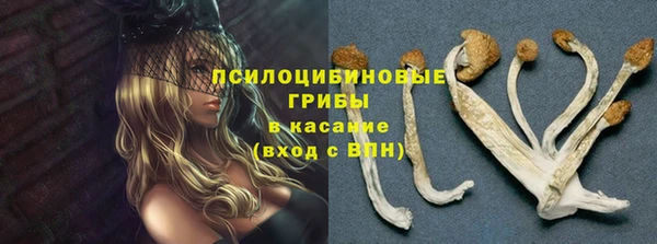 прущие крисы Алзамай